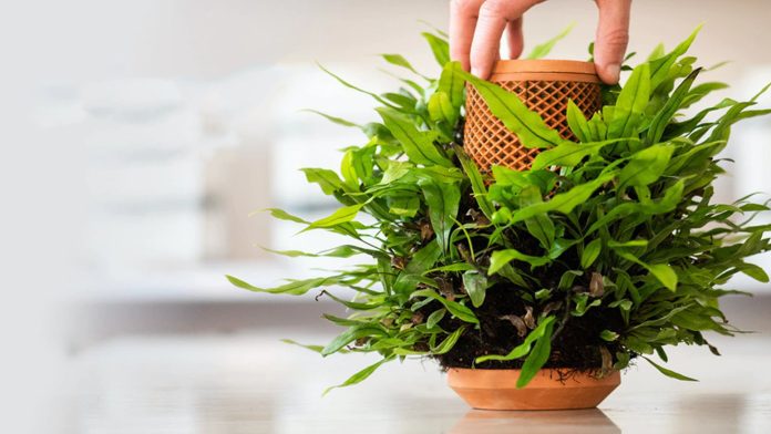 Bir çok alanda kolay, pratik ve zahmetsiz çözümler aradığımız günümüzde, topraksız dekoratif saksı projesi Terraplanter çok farklı bir saksı anlayışı ile karşımıza geliyor.