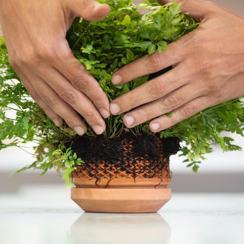 Topraksiz Saksi Terraplanter özel bir çalışma ile geliştirilen seramik tasarımda, içine doldurulan su, mikro gözenekler ile dışarıya sızarak hidroponik yöntemle evde bitki yetiştirmenin kapısını aralanmış.